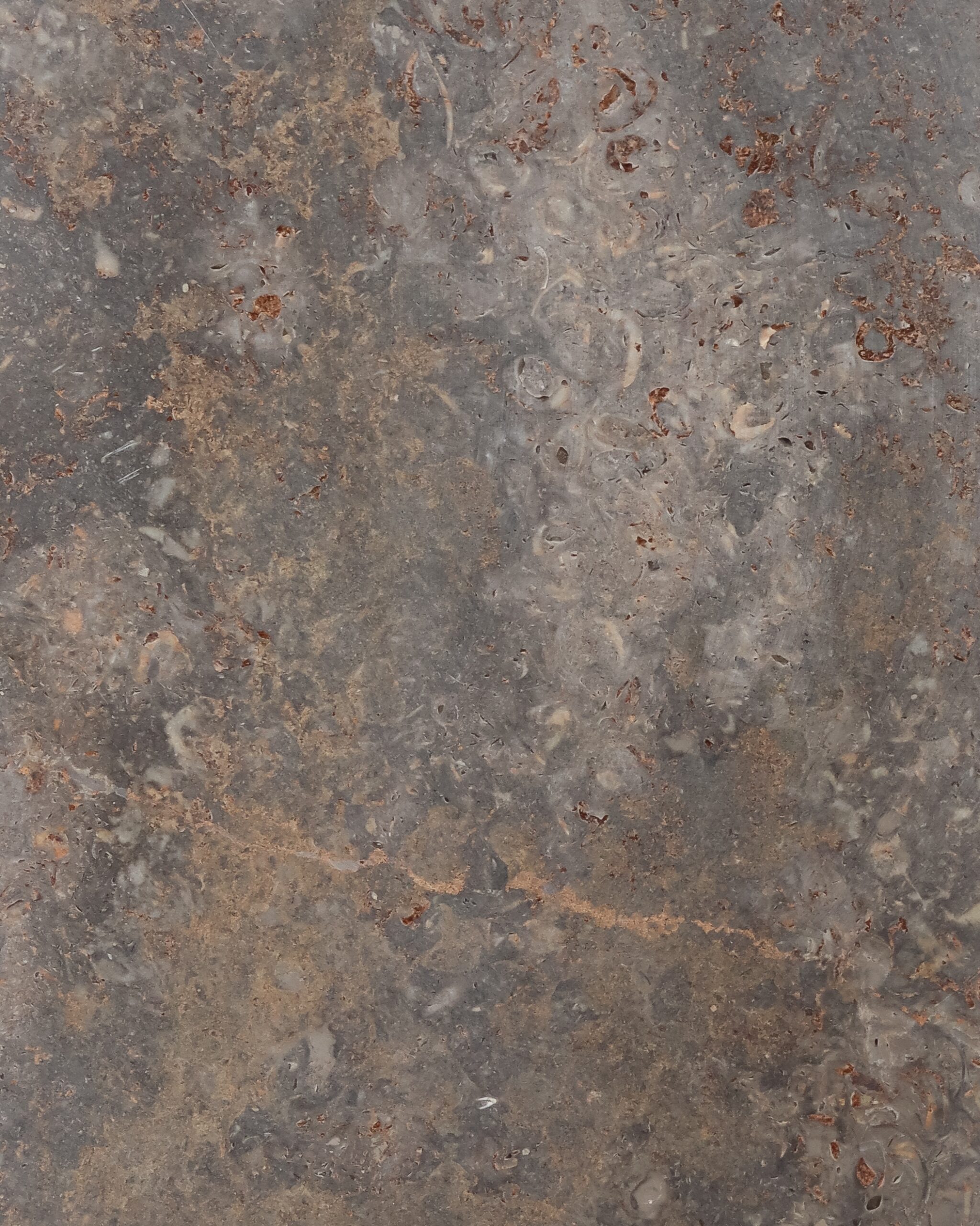 Stone_Floorwall_Muschelkalk