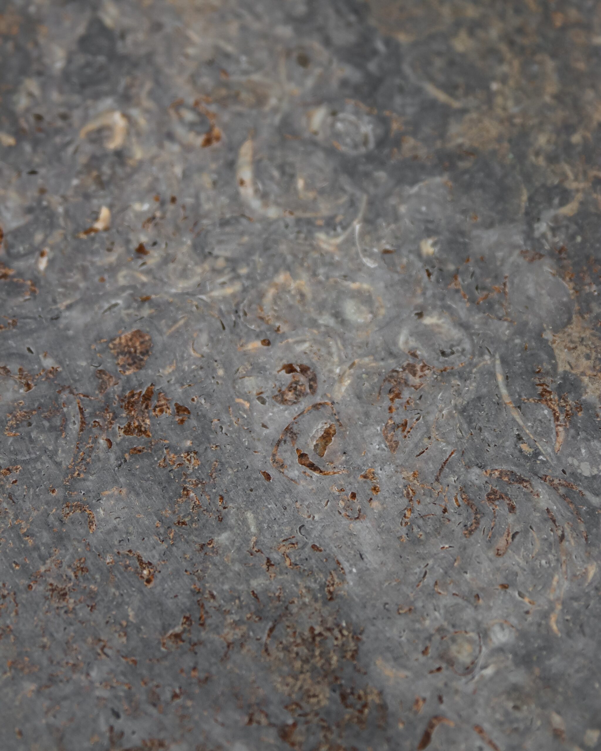 Stone_Floorwall_Muschelkalk_detail