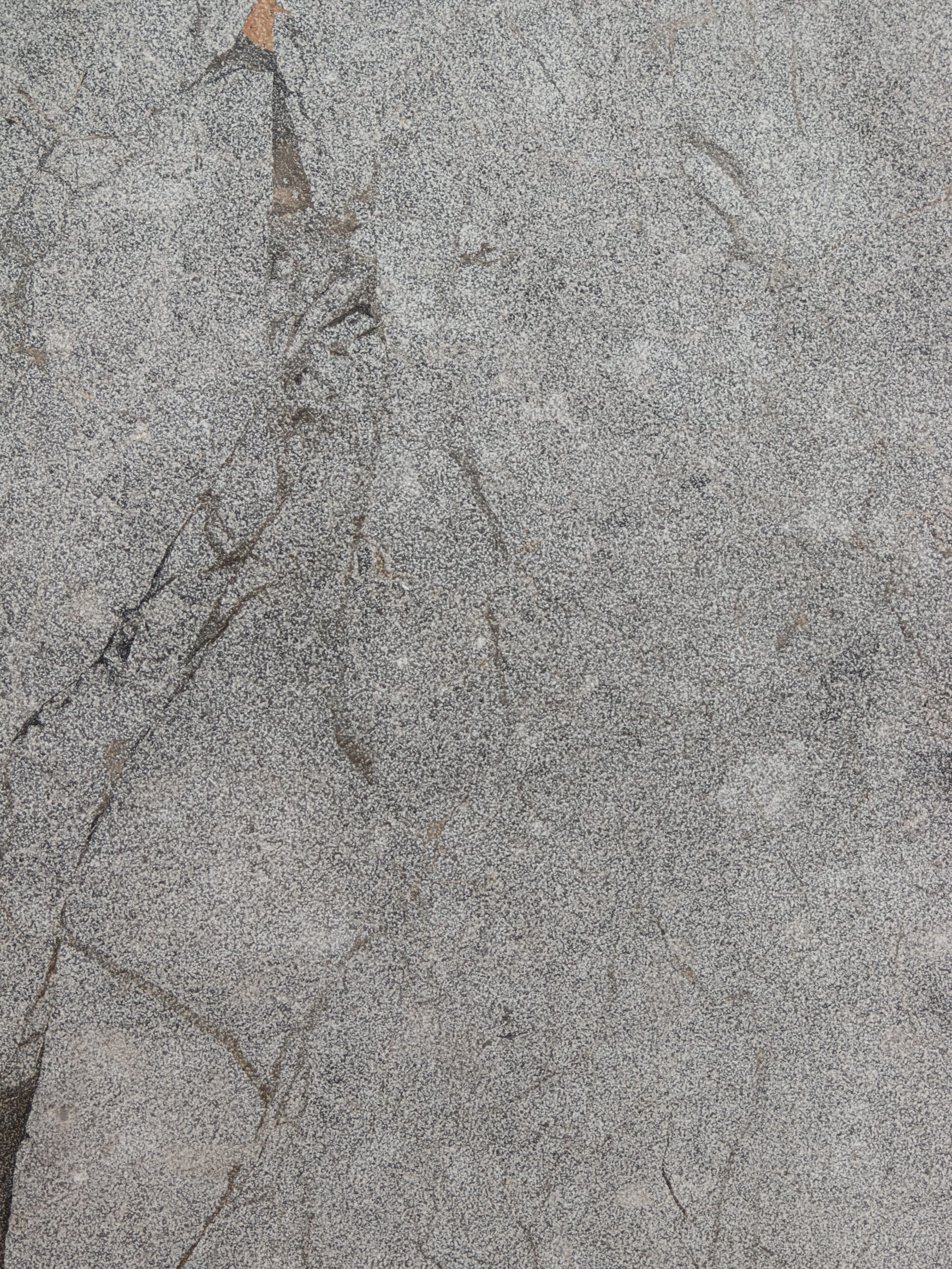 Stone_sviluppi