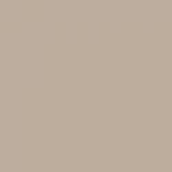 Plain Grey Beige - 15030