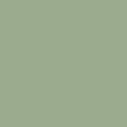 Plain Olive Green - 16700