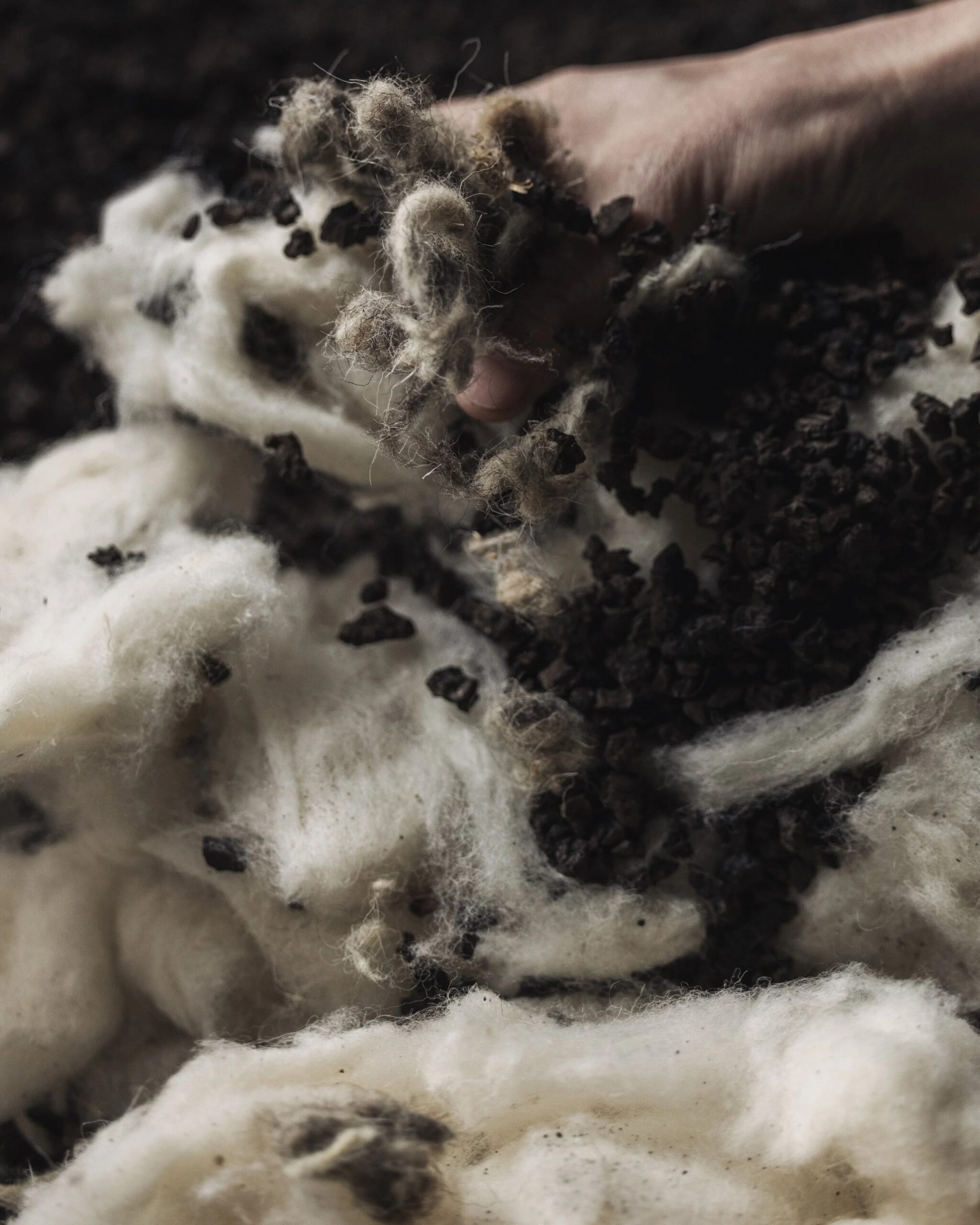 corkinho_Grounding_cushion